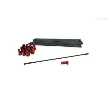 SPOKE KIT FR 19 BK/RD