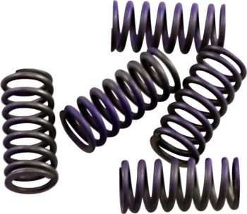 SPRINGS CLUTCH KIT