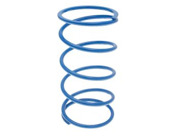 torque spring Polini +20% for Suzuki AN Burgman 400