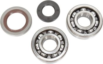 CRANK BEARING SEAL KIT