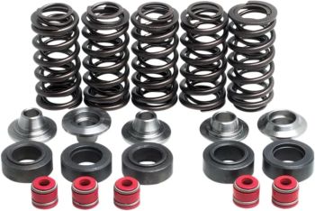 KIT VALVE SPR WR/YZ400-26