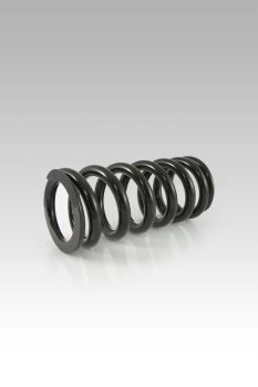 RR SHOCK SPR LOW KIT - 20MM YA