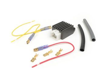 Voltage regulator -4-plug BGM PRO 6V AC/DC- universal