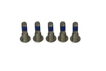 BRAKE ROTOR BOLTS
