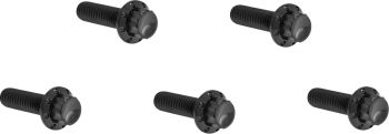 Bolt Kit - Derby Cover - 12-Point - Black