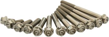 TITANIUM BOLT M6X45 PACK OF 2