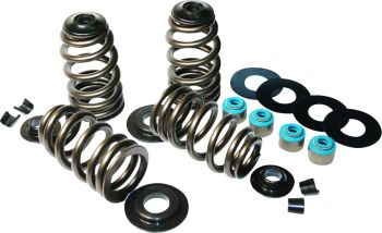 VALV SPRINGS ECON05-17 TC