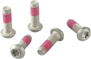 BRAKE ROTOR BOLTS