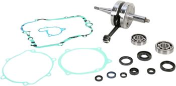CRANK W/BRG + GASKET