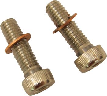 SCREWS W/WSHRS DMPR TB