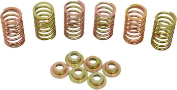CLUTCH SPRING KIT