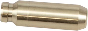 GUIDE VLV STD POL RZR900