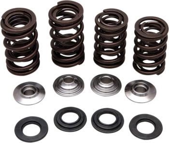 SPRING KIT 06-08 TRX450R