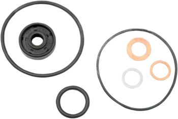 GASKET KIT WP REPAIR