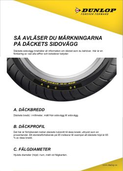 Dunlop D254 130/60R19 61H TL Fr